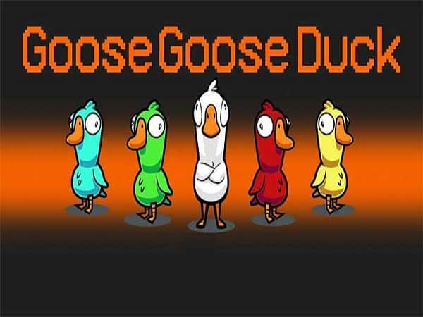 Giới thiệu về các nhân vật trong goose goose duck