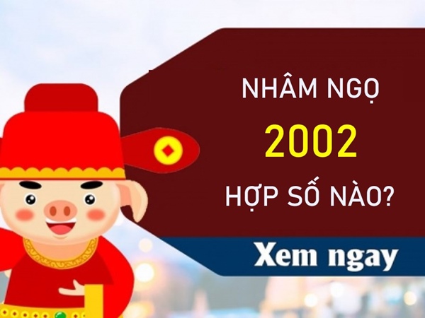 Nhâm Ngọ 2002 hợp số nào vận số hanh thông?