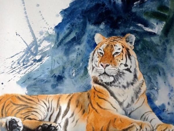 Tổng quan tử vi tuổi Dần ngày 30/12/2025